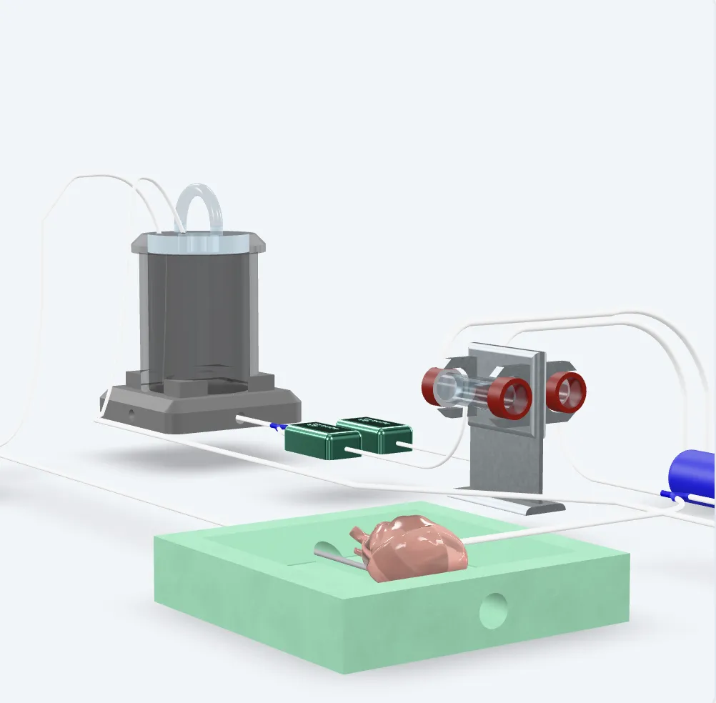 A normothermic perfusion organ-bath system
